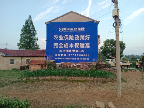 雷山墙体广告为何受追捧？