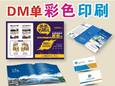 雷山单页印刷，色彩搭配简单。